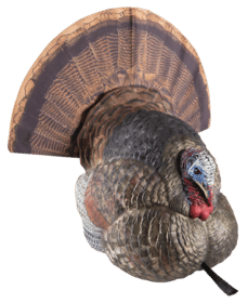 Avian X LCD Strutter Turkey Decoy features a fanned tail feather